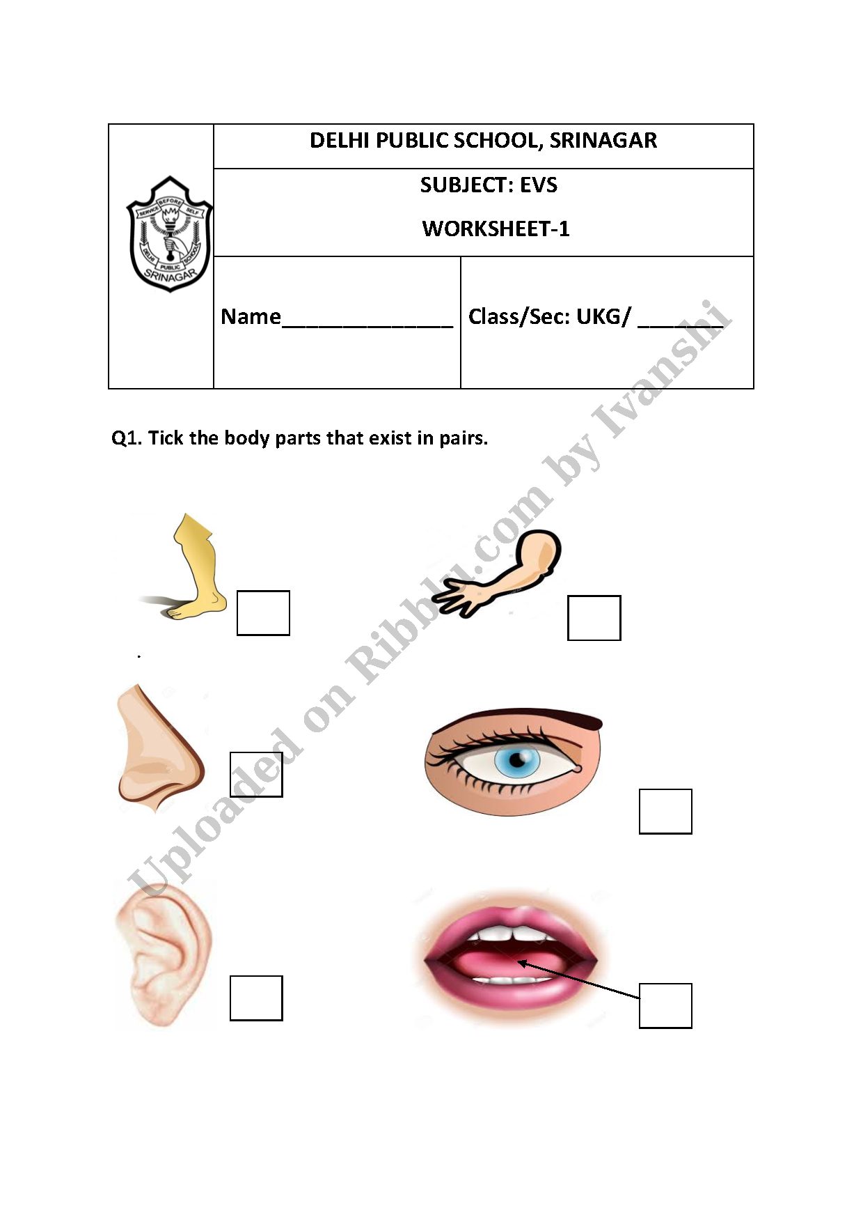 Preview cover for Free Printable Body Parts Worksheets for UKG