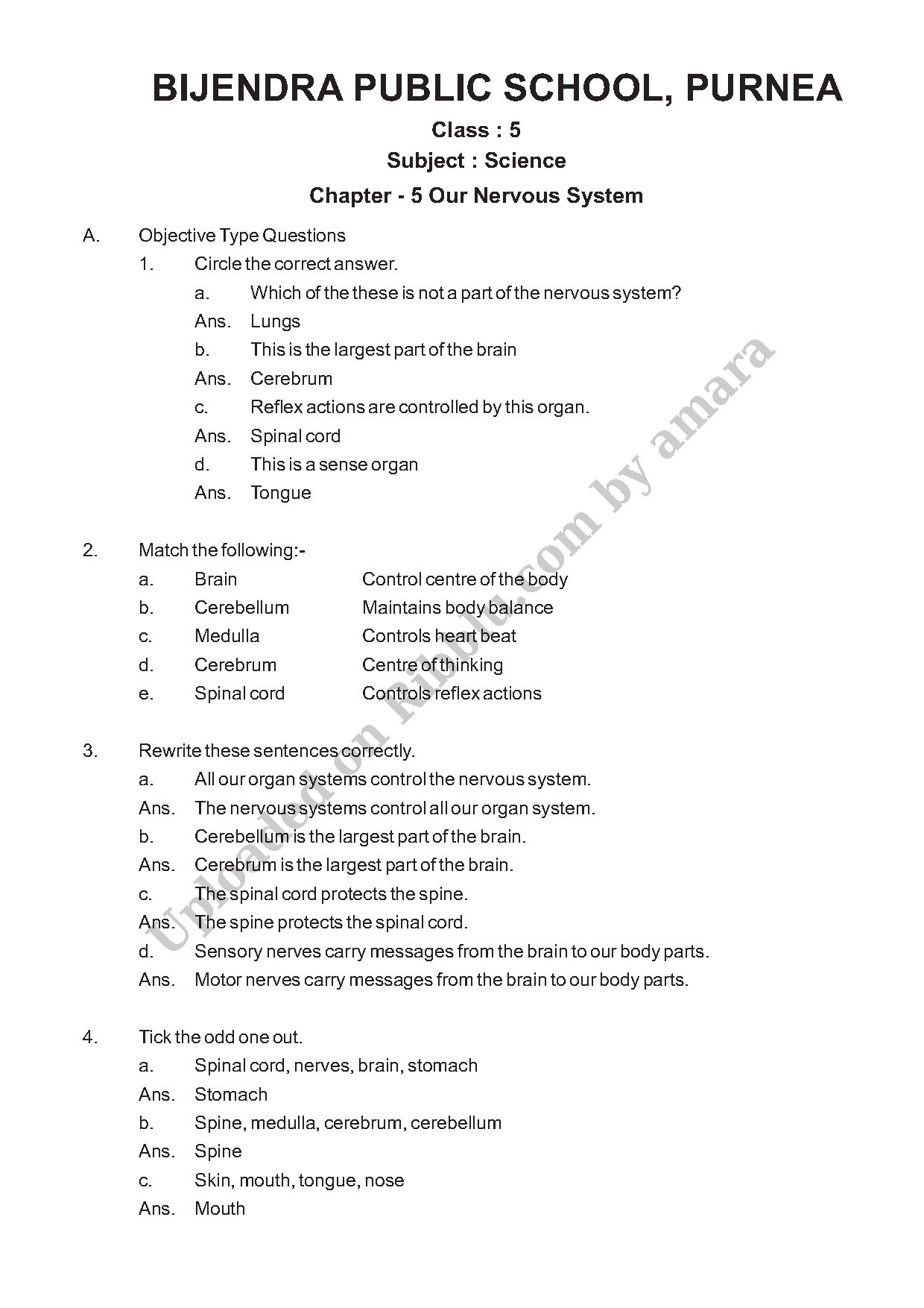Preview cover for Our Nervous System Questions and Answers Class 5 Science - Bijendra Public School