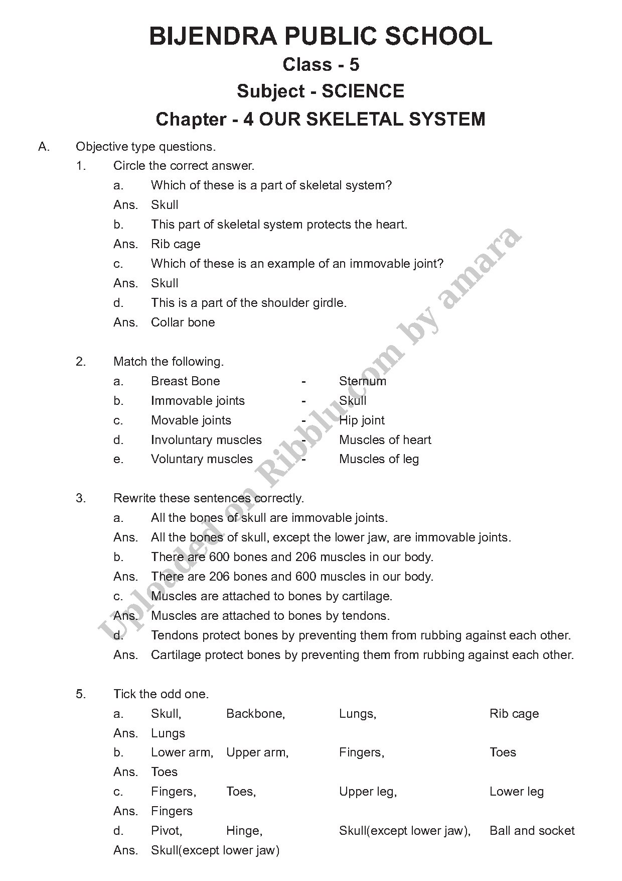Preview cover for Our Skeletal System Questions and Answers Class 5 Science - Bijendra Public School
